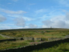 Chimney fell gate